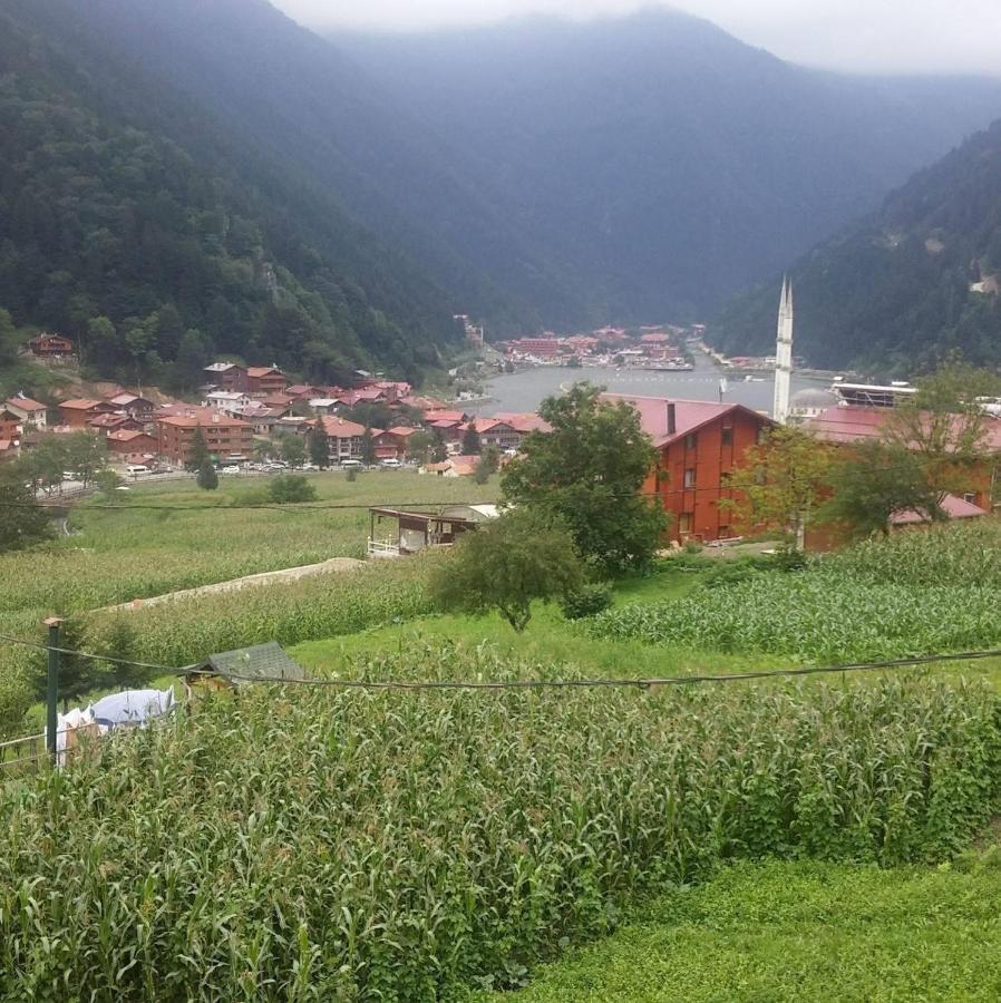 Zeren Bungalov Aparthotel Uzungöl Luaran gambar