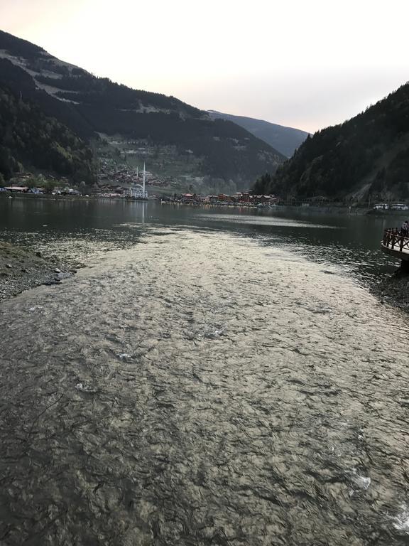 Zeren Apart Bungalov Uzungöl Luaran gambar